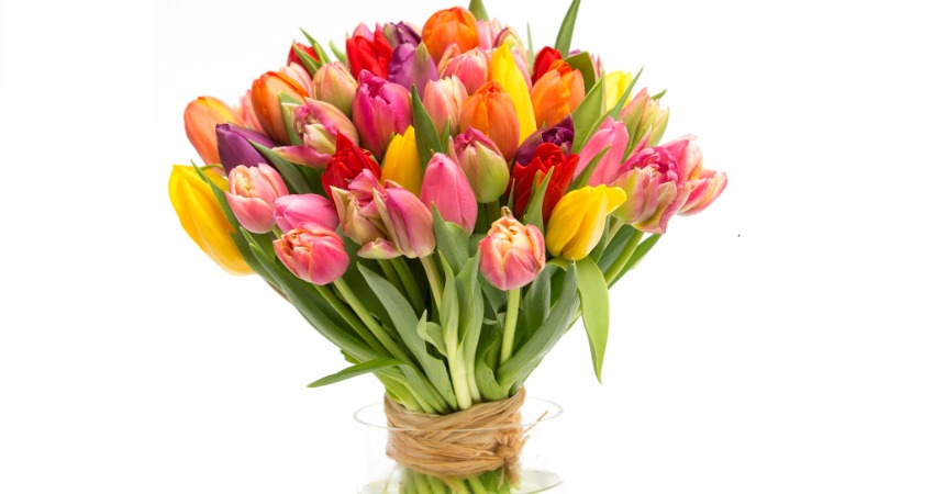 Nagyon Boldog Nőnapot kívánunk - nem csak a footgolfos hölgyeknek!