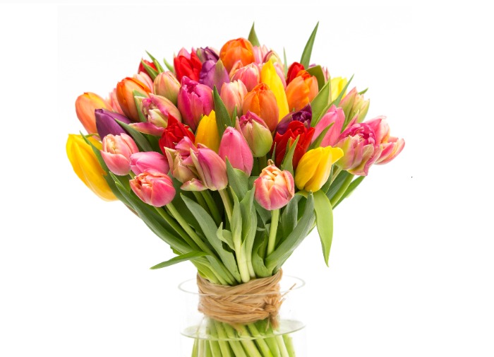 Nagyon Boldog Nőnapot kívánunk - nem csak a footgolfos hölgyeknek!